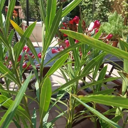 La Casetta Di Giuci 3*