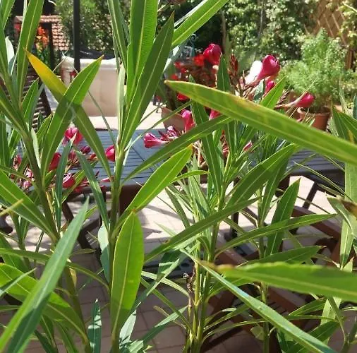 La Casetta Di Giuci 3*